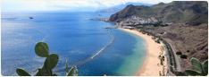 Canaries